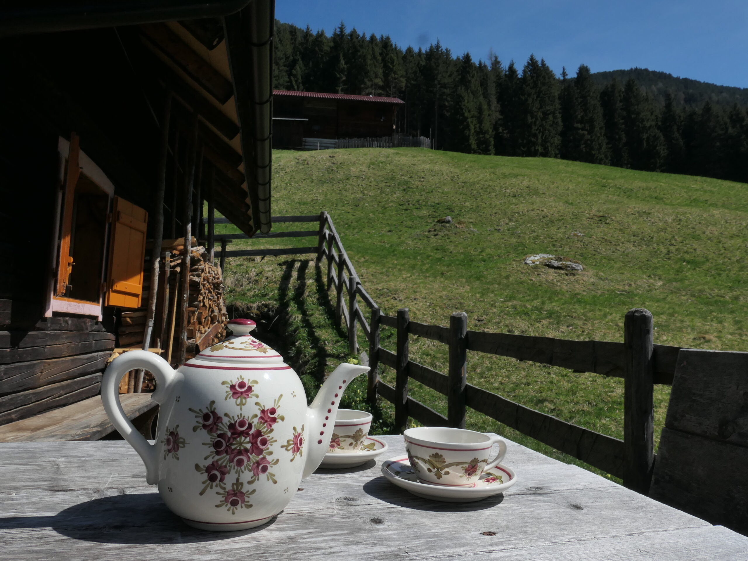 Zwergenwald Hütte